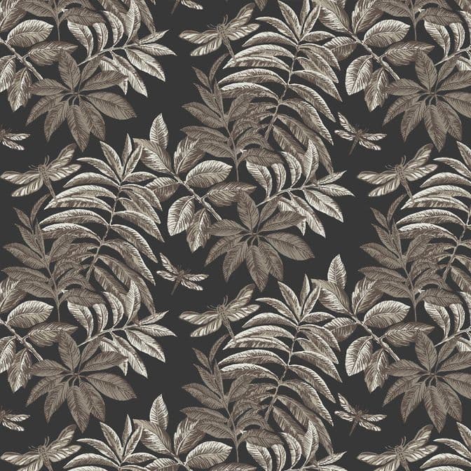 Trento Monte Baldo 1076-67