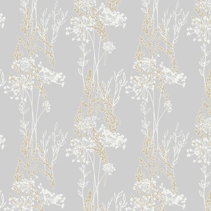 Trento Monte Baldo 1088-12