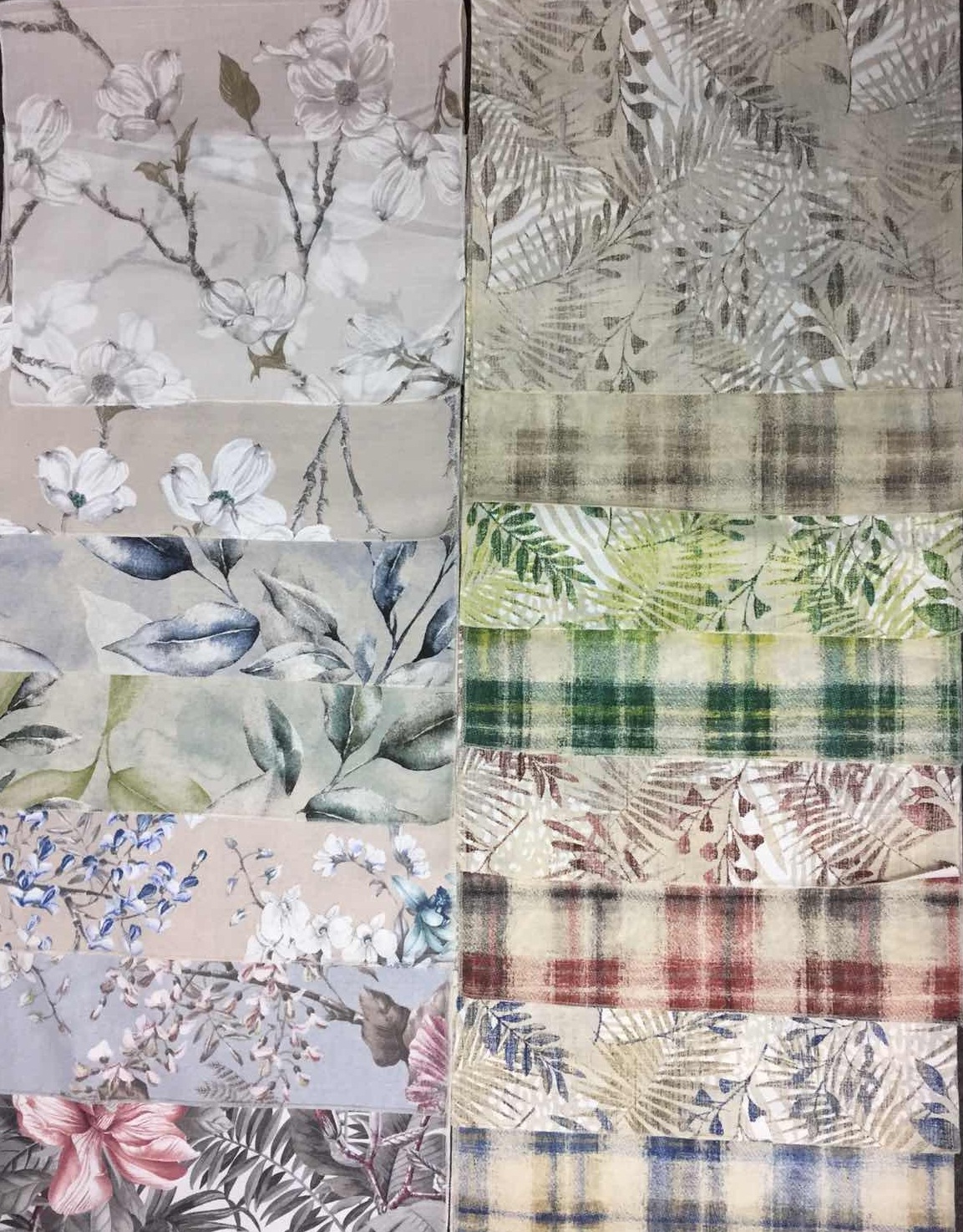 Подборка Джели+Флорес+Каталина+Нуэва+Лерма+Мирамар