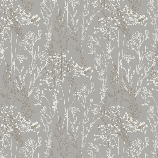 Trento Monte Baldo 1077-61