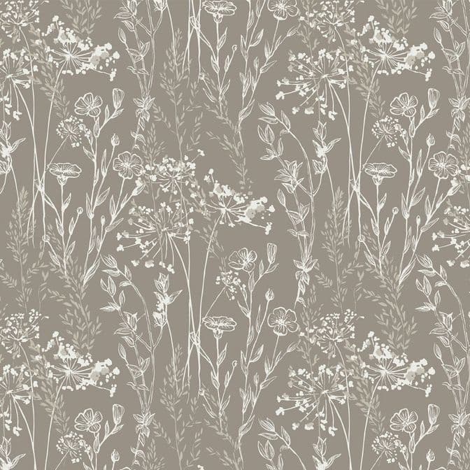 Trento Monte Baldo 1077-21