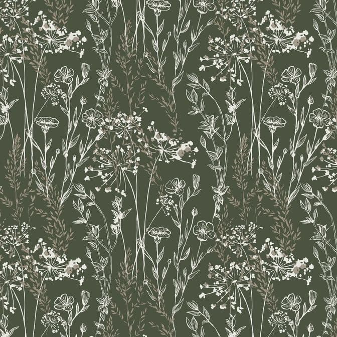 Trento Monte Baldo 1077-52