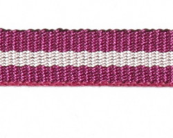 Тесьма 1801-53