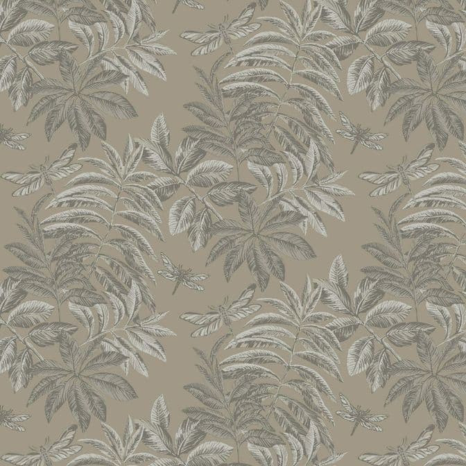 Trento Monte Baldo 1076-21