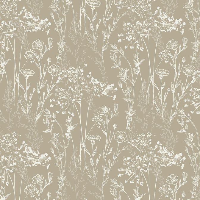 Trento Monte Baldo 1077-20