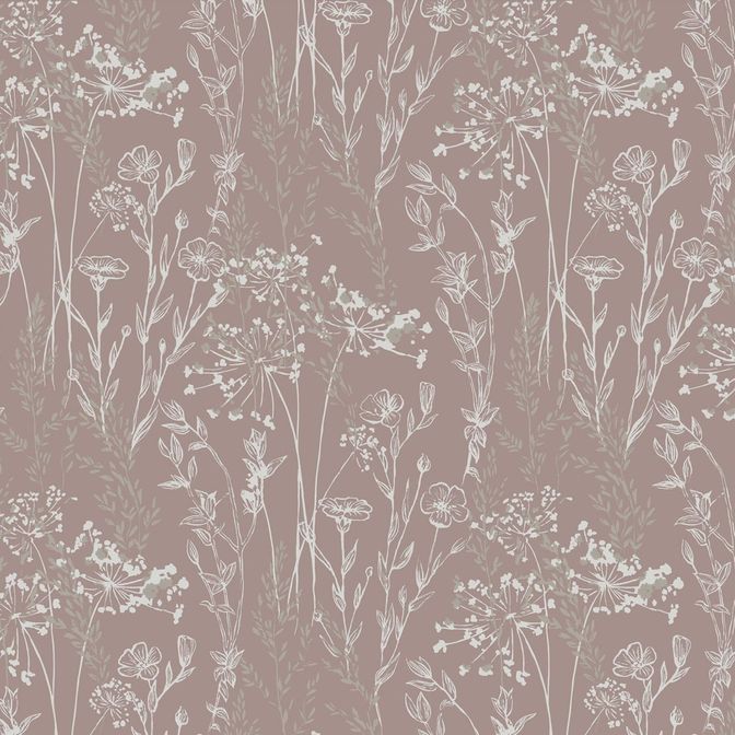 Trento Monte Baldo 1077-48