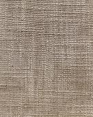 1908- 5 Burlywood Birch