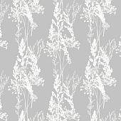 Trento Monte Baldo 1088-10