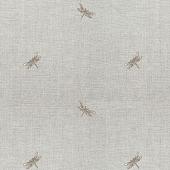 Trento Monte Baldo 1086-27