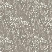 Trento Monte Baldo 1077-21