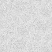 Trento Sonata 1081-61