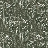 Trento Monte Baldo 1077-52