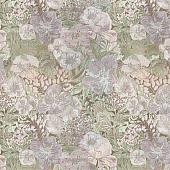 Trento Monte Baldo 1075-48