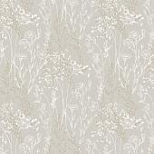 Trento Monte Baldo 1077-12