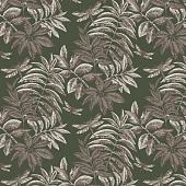 Trento Monte Baldo 1076-52